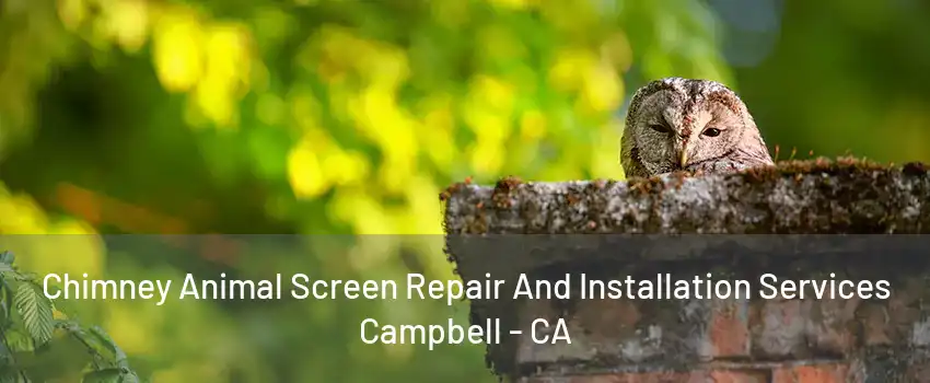 Chimney Animal Screen Repair And Installation Services Campbell - CA