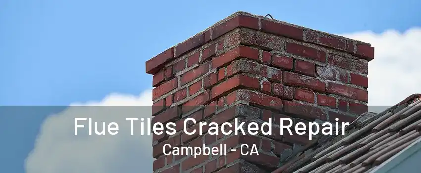 Flue Tiles Cracked Repair Campbell - CA