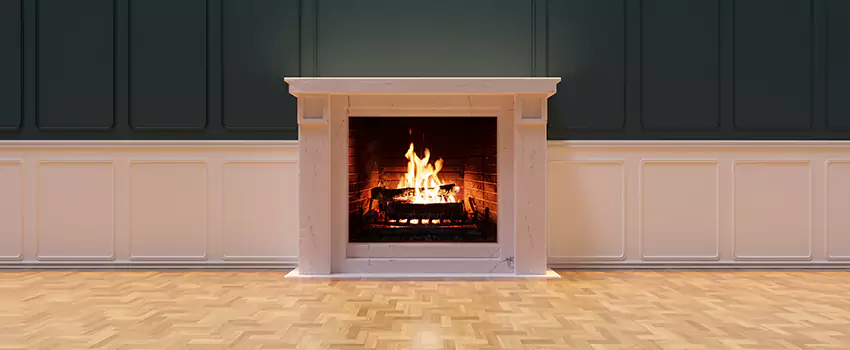 Napoleon Electric Fireplaces Inspection Service in Campbell, California