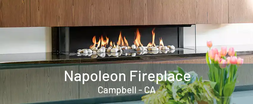 Napoleon Fireplace Campbell - CA