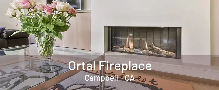 Ortal Fireplace Campbell - CA